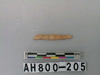 藏品(獸骨殘骸)的圖片